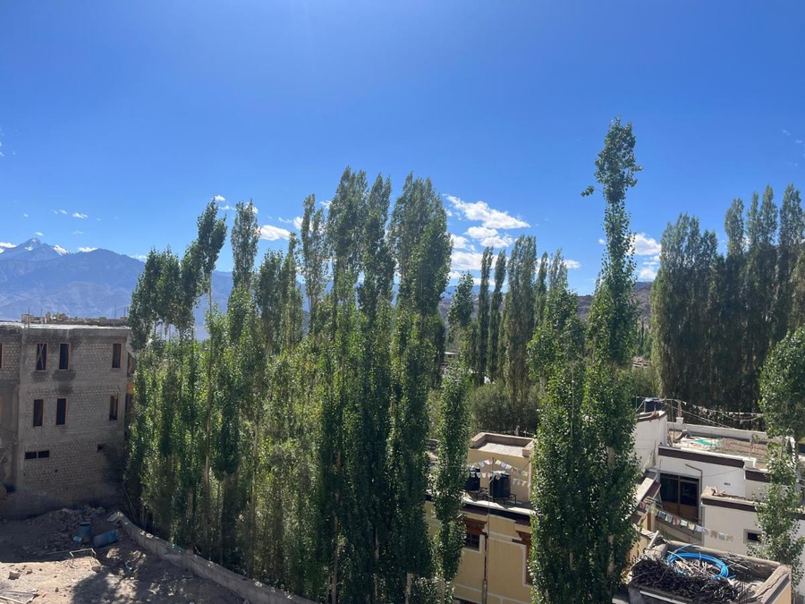 Crown Himalaya Hotel,Khakshal,4 star