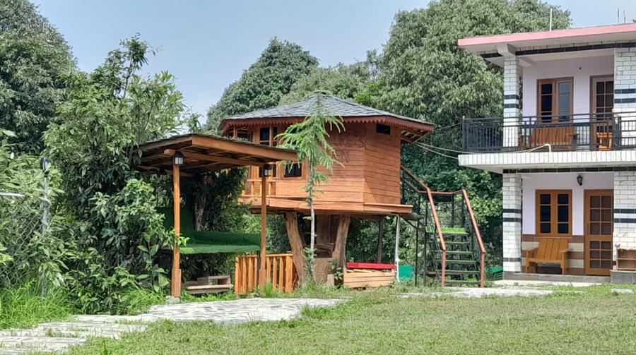 The Wild Planet - Treehouses & Cottages,,3 star