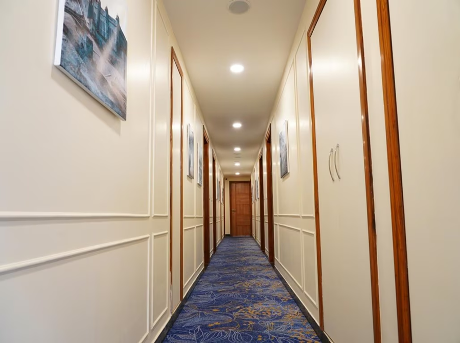 cilantro comfort jaipur