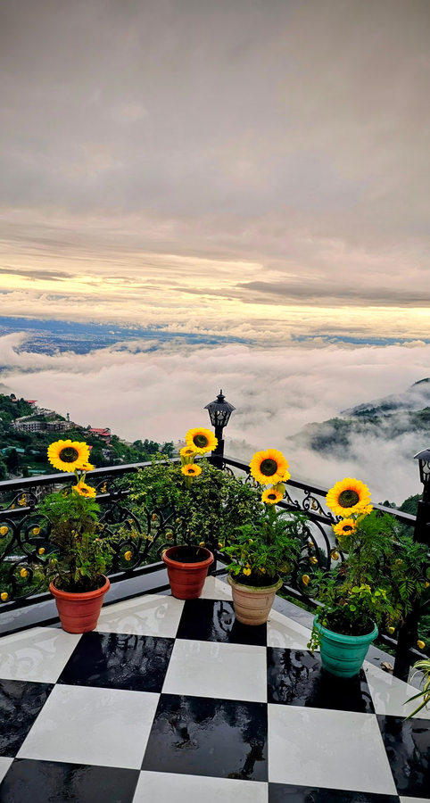 Opal Villas,Mall Rd,3 star