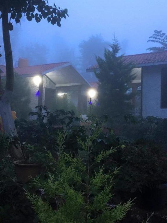 d signature homestay by lexstays