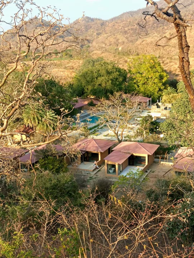 aloof the jungle lodge ranakpur
