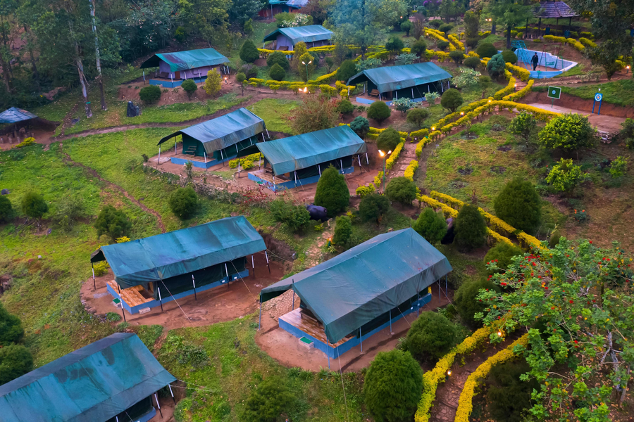 nature zone jungle resort