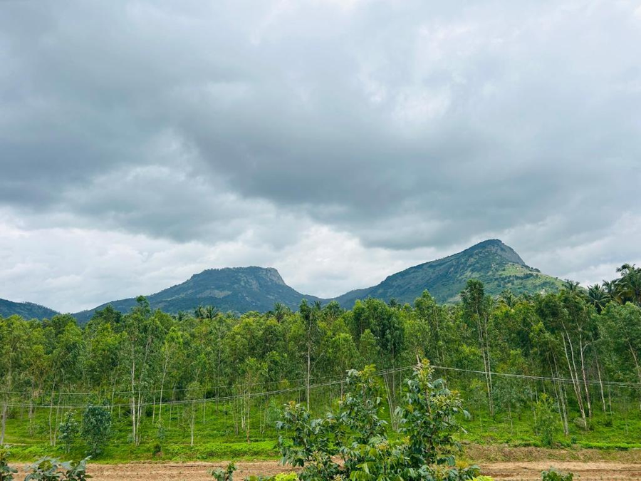 Echoes Retreat,,3 star