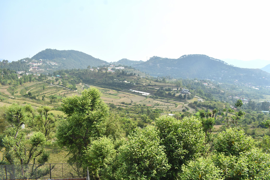 the breeze homestay bhimtal