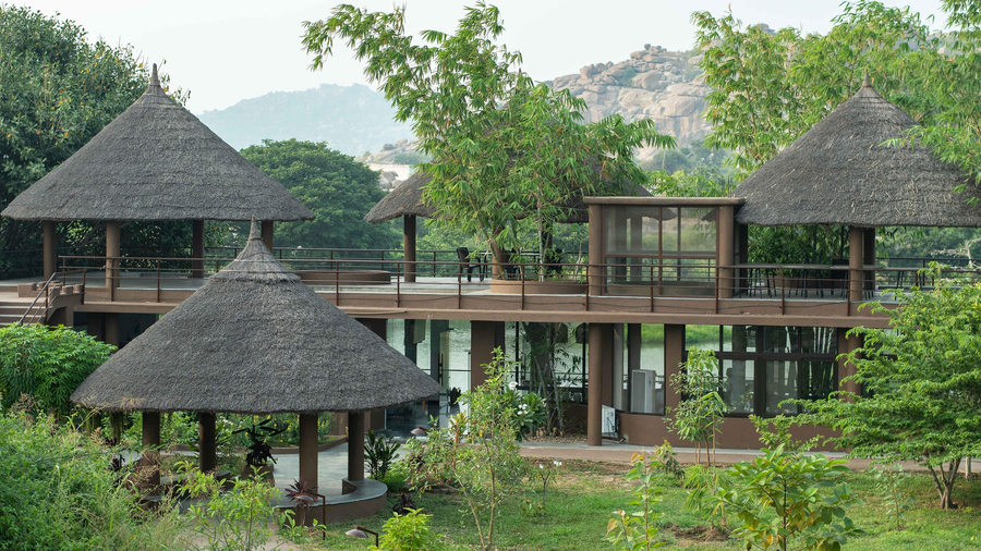 hampis feathers resort
