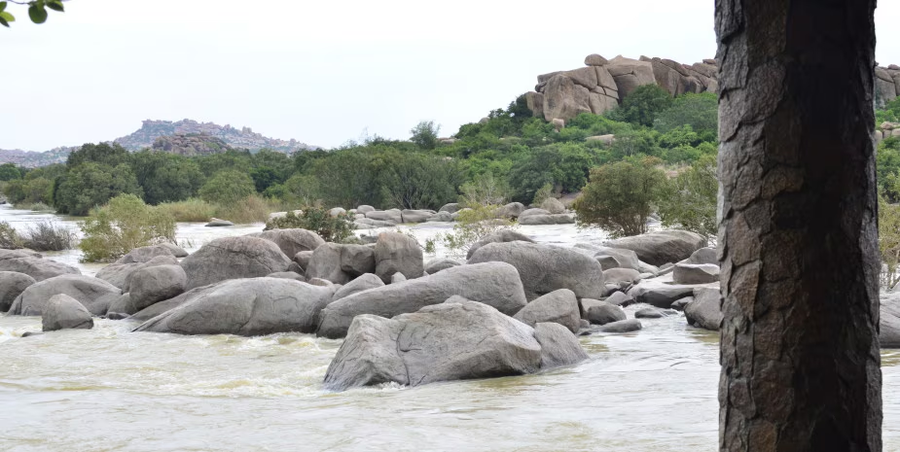 hampis boulders resort