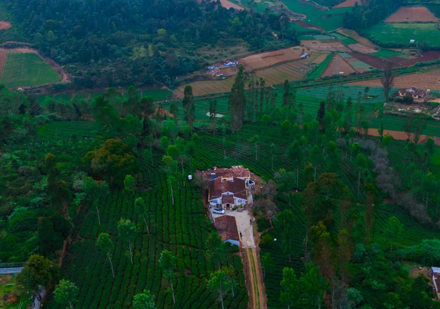 Silverdale Ooty By Voye Homes,,2 star