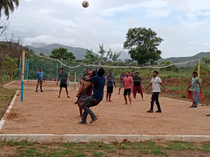 The Whistling Pine Woods,Palakkad,3 star