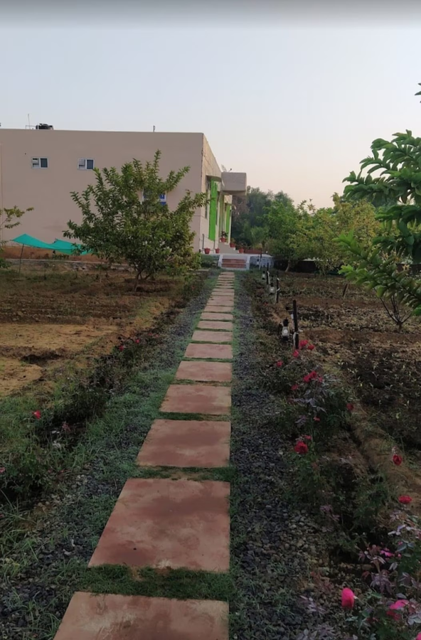 aliste a wildlife experiential resort ranthambore