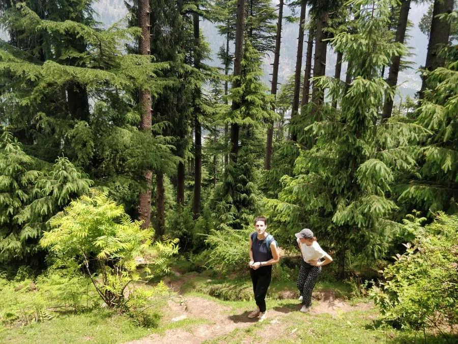 Madpackers Manali,Manali>>Kullu,3 star