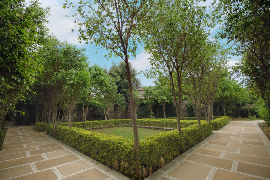 tiger kingdom ranthambore a club mahindra associate resort