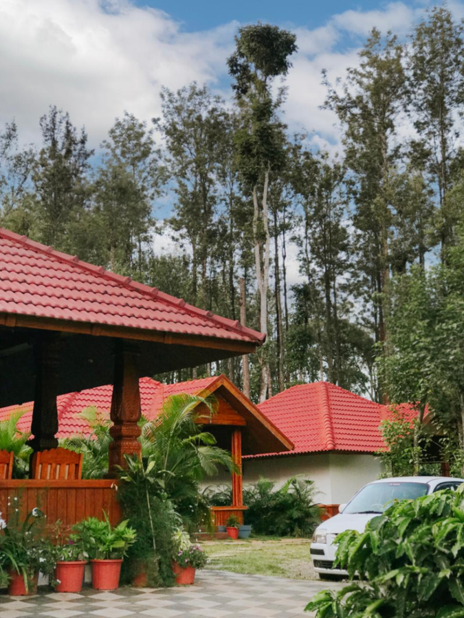 Wood Clusters,,3 star