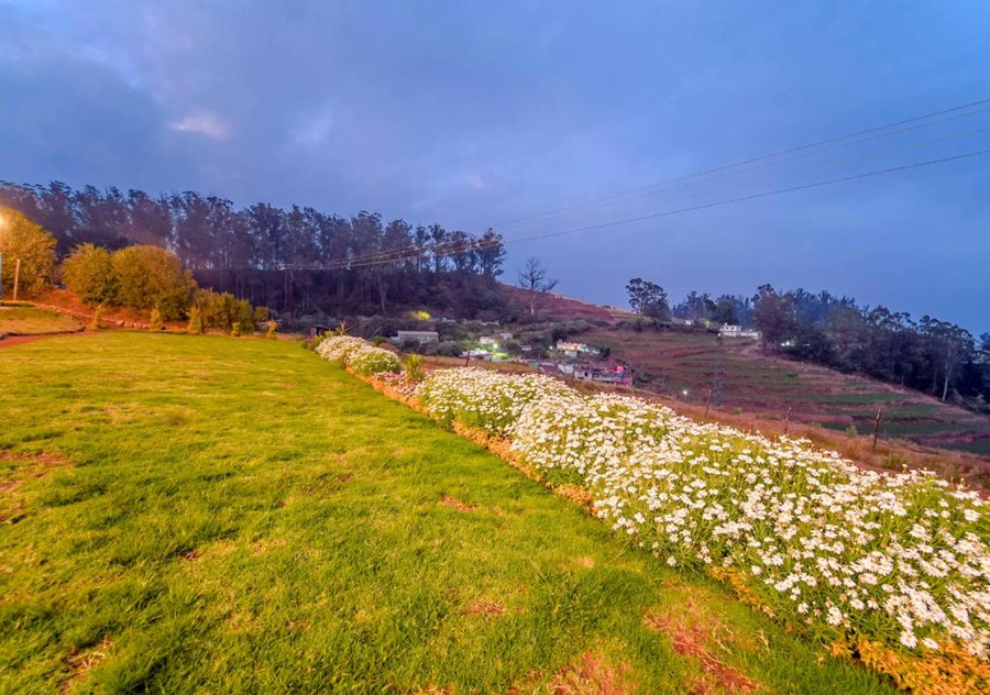 silent retreat ooty by voye homes