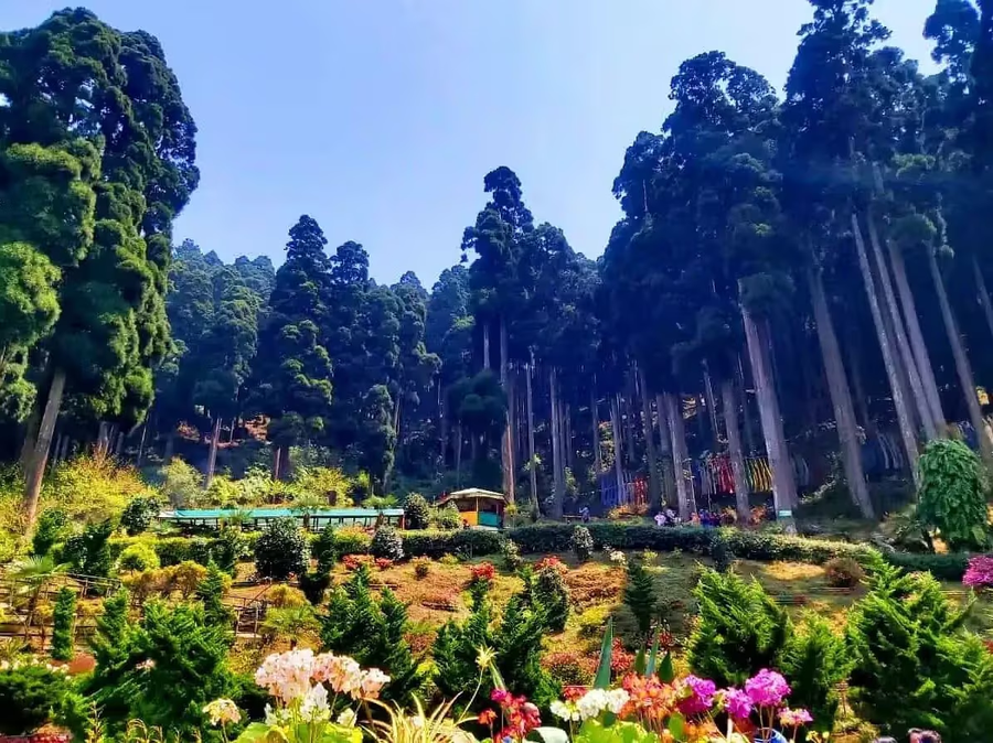 Summit Enigma Resort And Spa,North Point,3 star