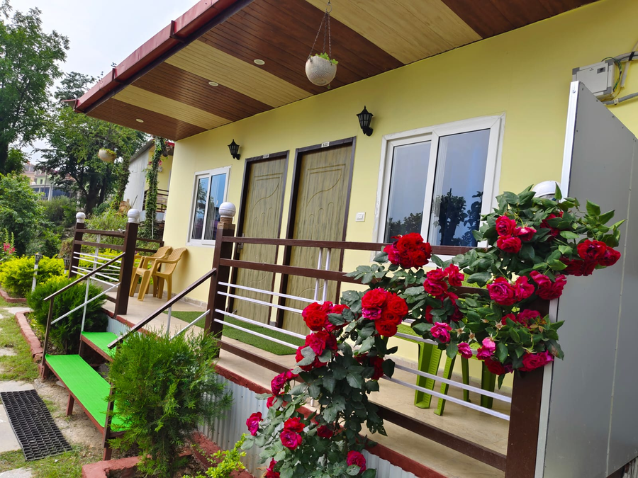 the pines mountain view