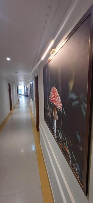 The Ambience Hotel Chandigarh Zirakpur,,3 star