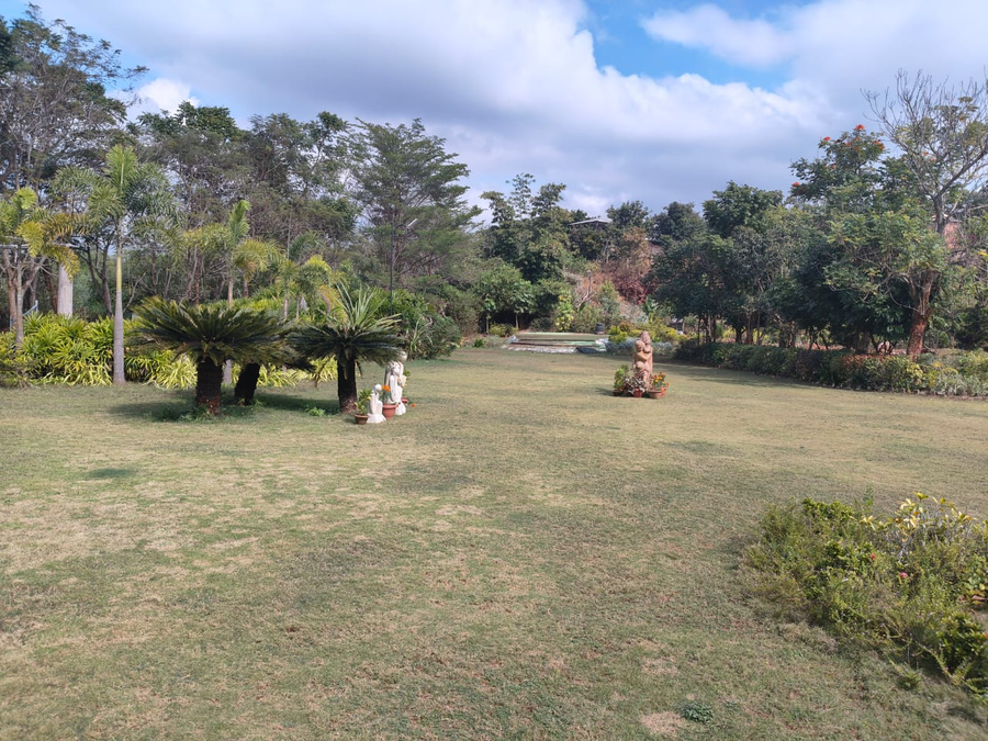 dms rbt resort
