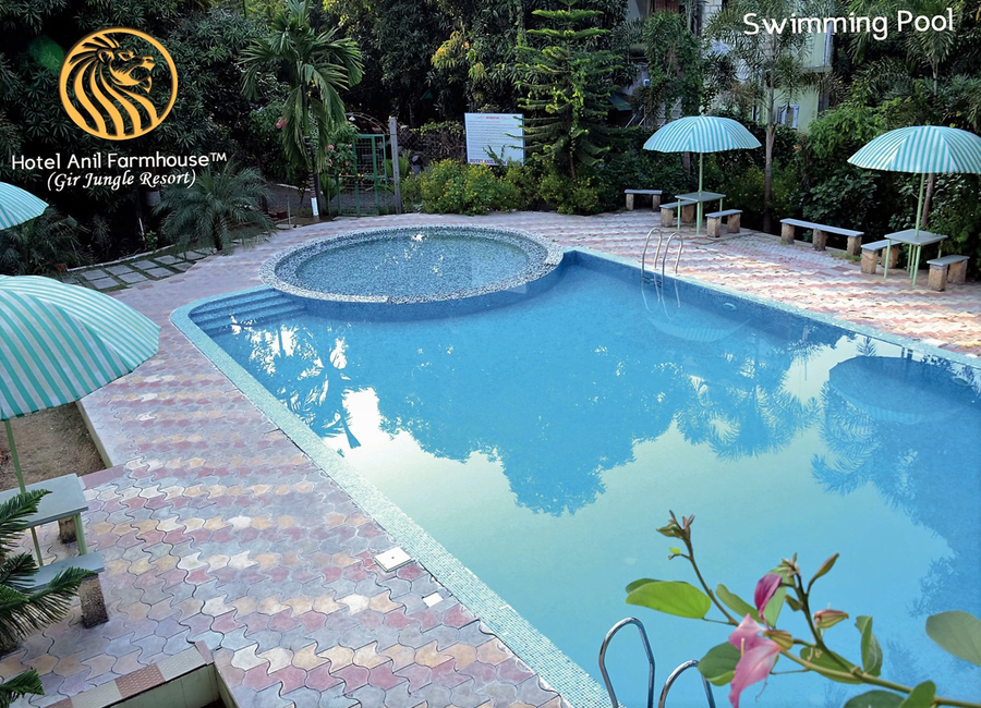 anil farms gir jungle resort