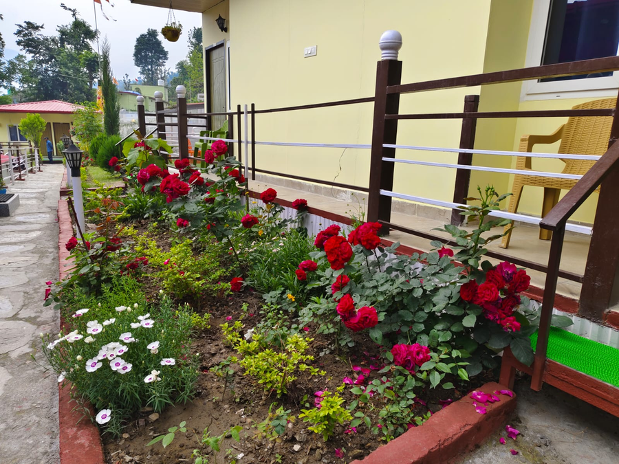 the pines mountain view