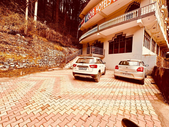 Hotel Daulat,Hadimba Road,2 star