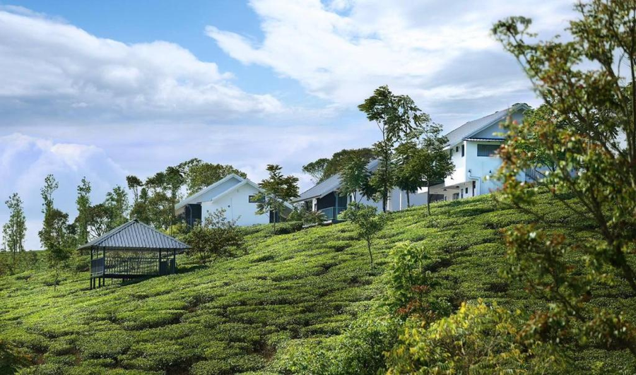 Pekoe Plantation Cottages By Lexstays,,3 star