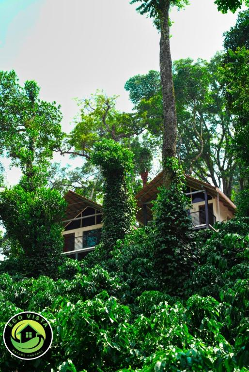 eco vista