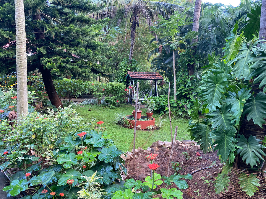 Georgia Sunshine Village,Shivanasamudra - 55Kms From Mandya,3 star