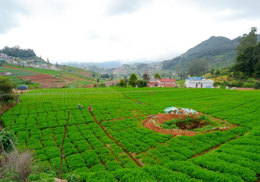 silent retreat ooty by voye homes