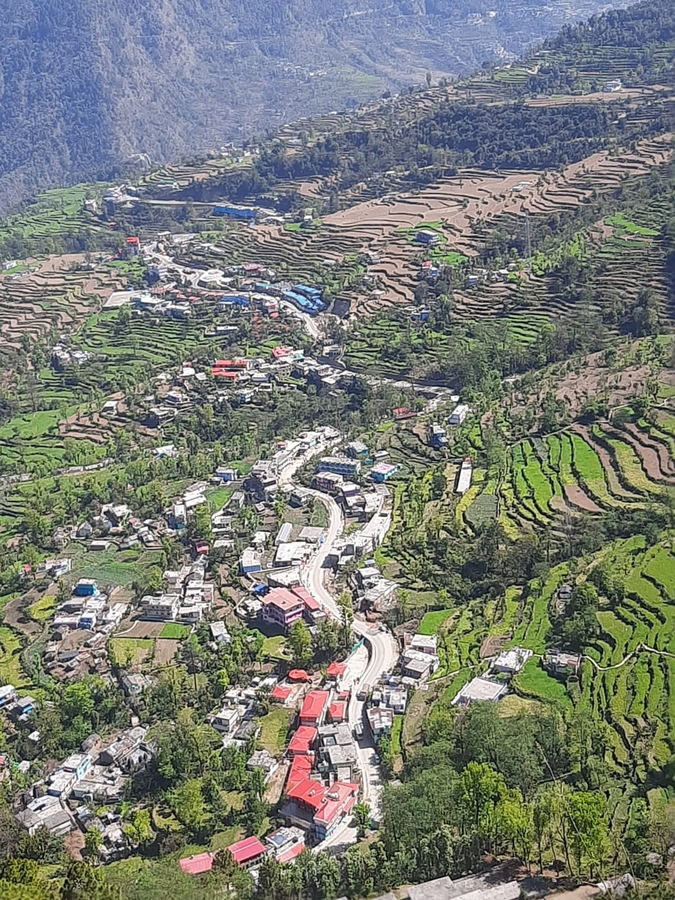 the pines mountain view