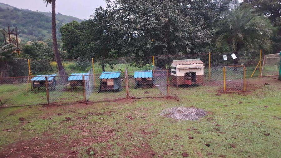 panshet valley resort