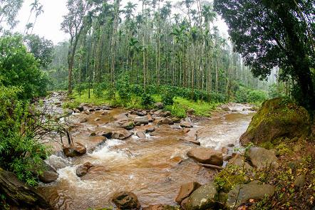 nature nirvana chikmagalur farmhouse