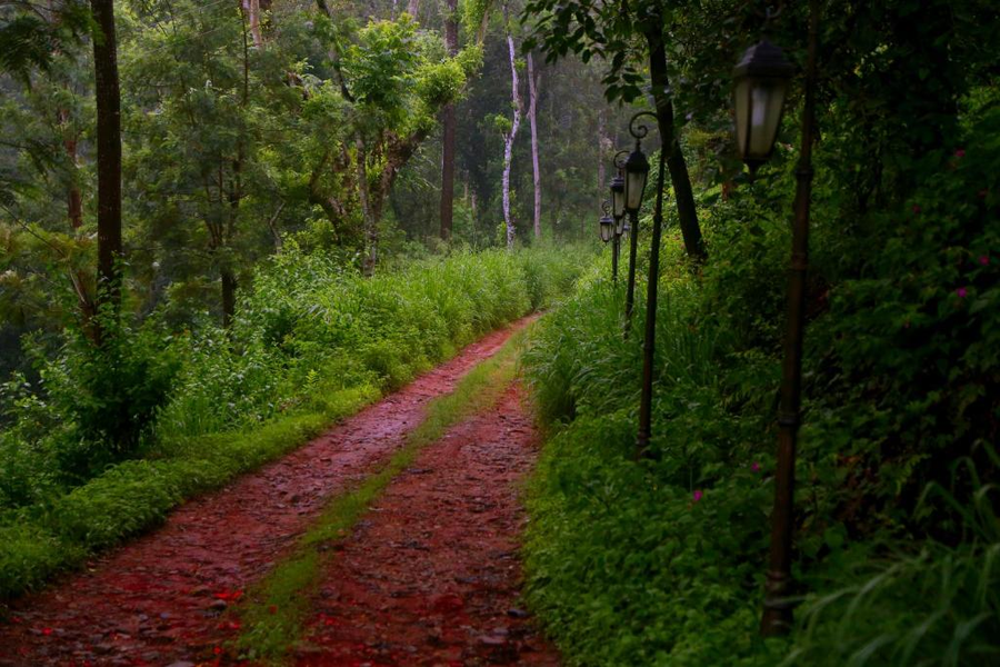 Old Kent Estates & Spa, Coorg,Kushalnagar>>Horur,4 star