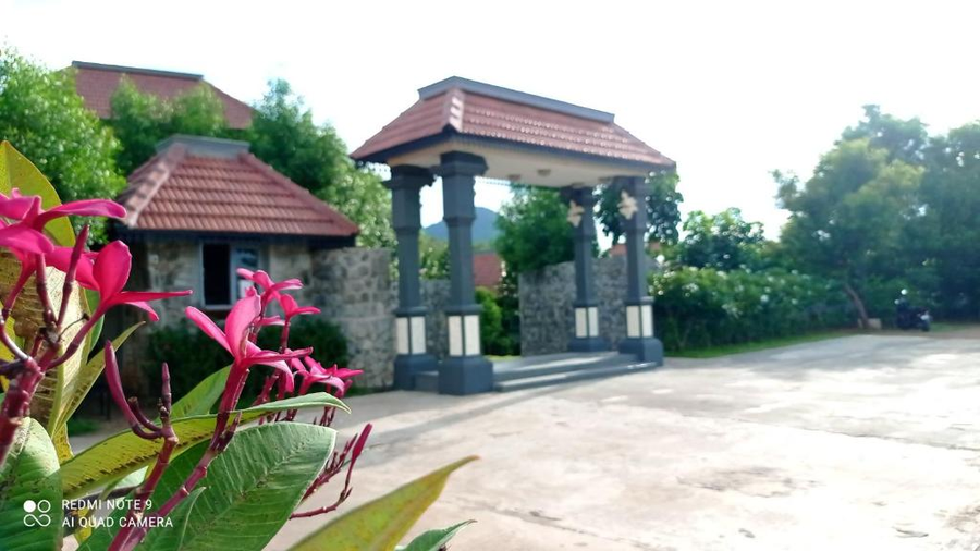 sterling hibis vellore