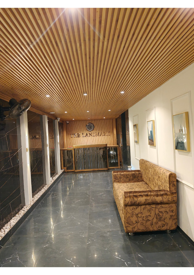 the byke business landmark pan india pure veg hotel chain