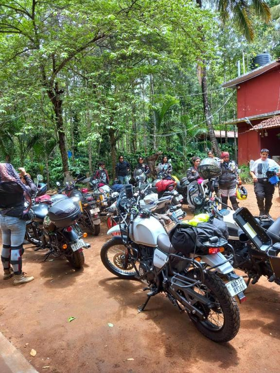 d signature homestay by lexstays