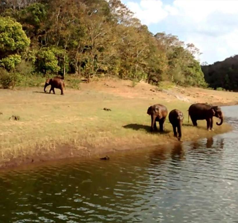the ark cottage by lexstays near idukki dam