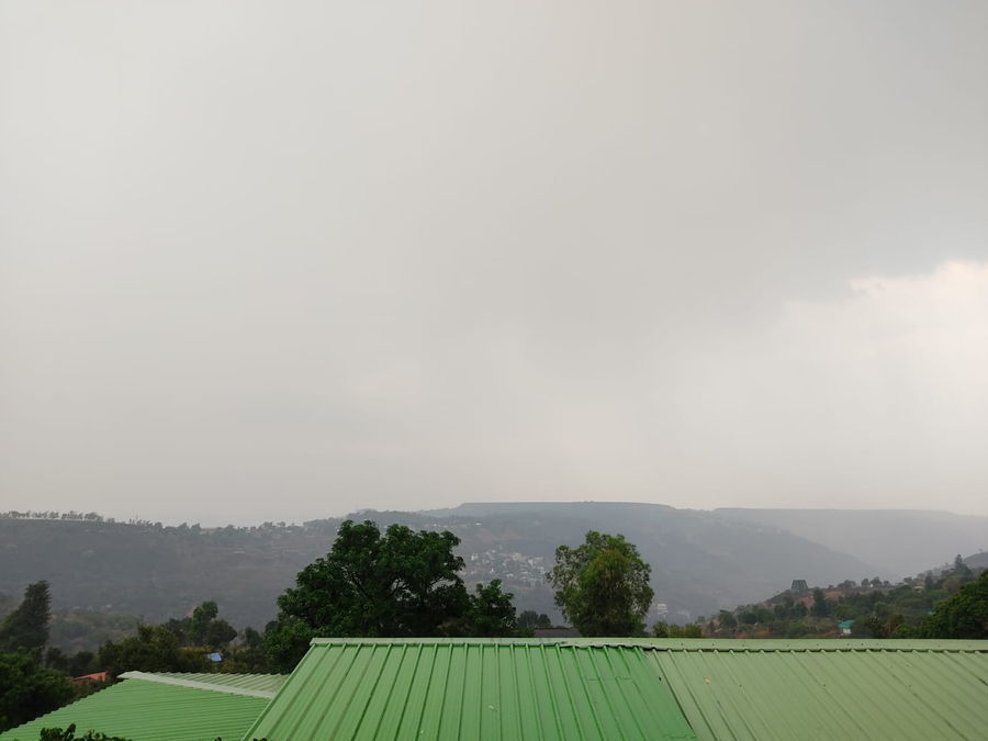 nature nest valley resort