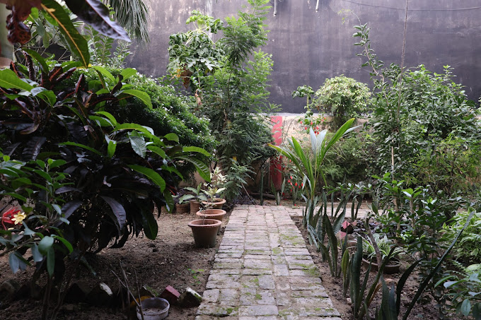 Oasis Homestay,Jankipuram,3 star