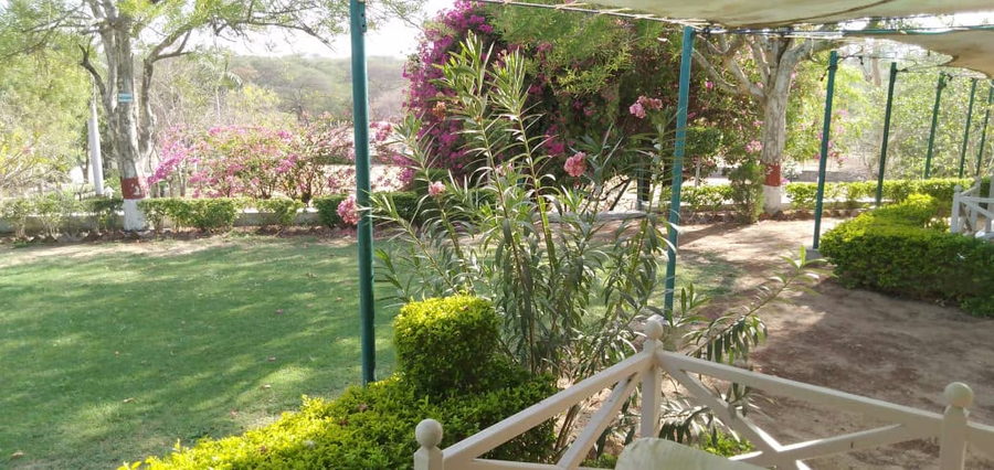 balaram palace resort