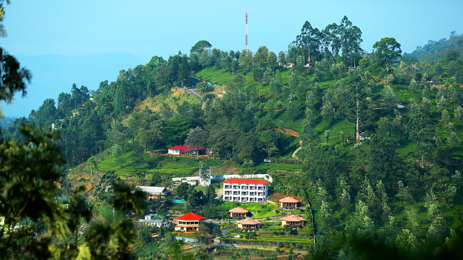 aranyaka resorts