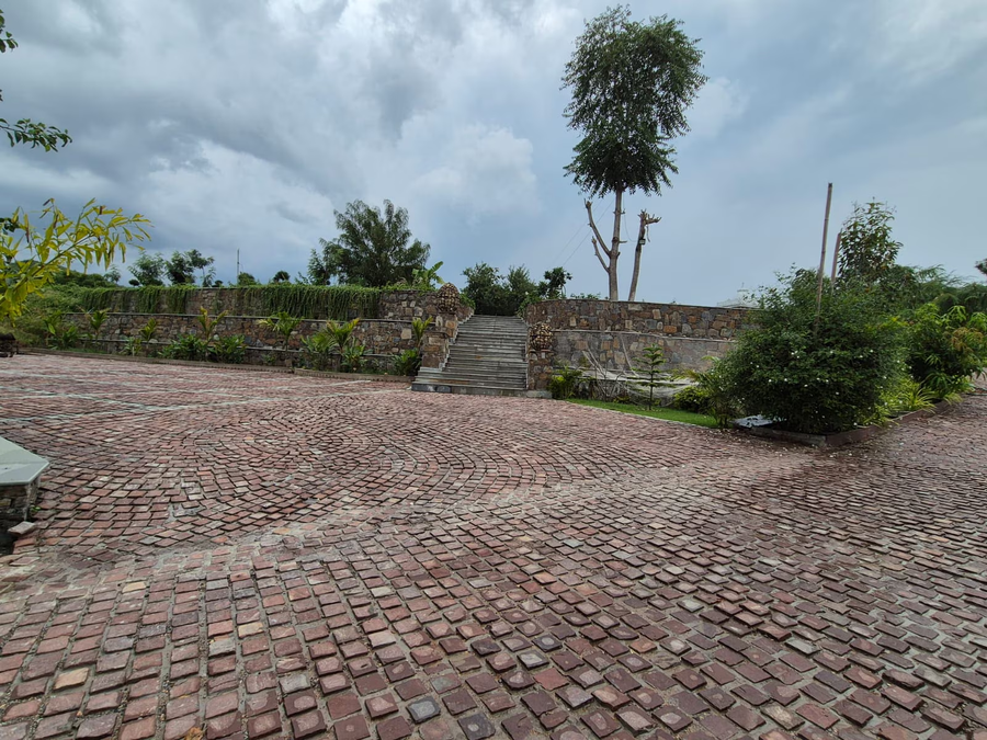 umber tree a nature side heaven resort