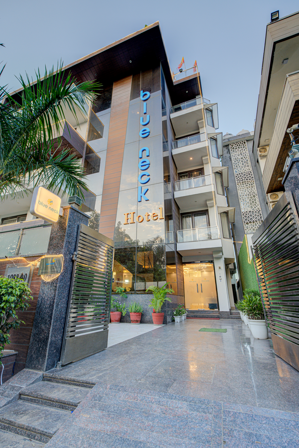 blue neck sector 40 unitech cyber park gurgaon