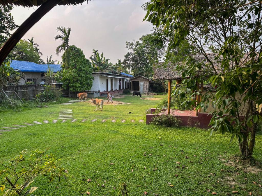 the white villa a unit of rupohi assam