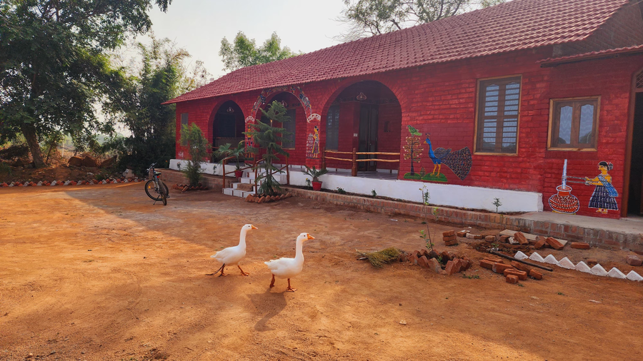 green nature view homestay