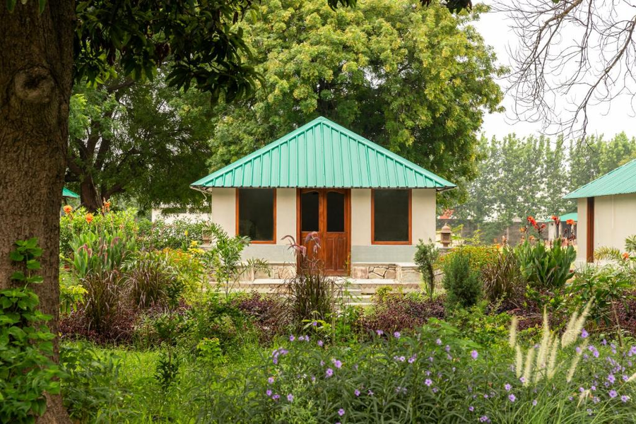 zana forest resort ranthambore