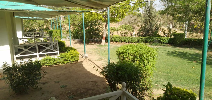 balaram palace resort