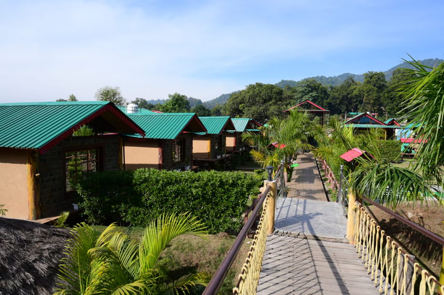 jungle resort