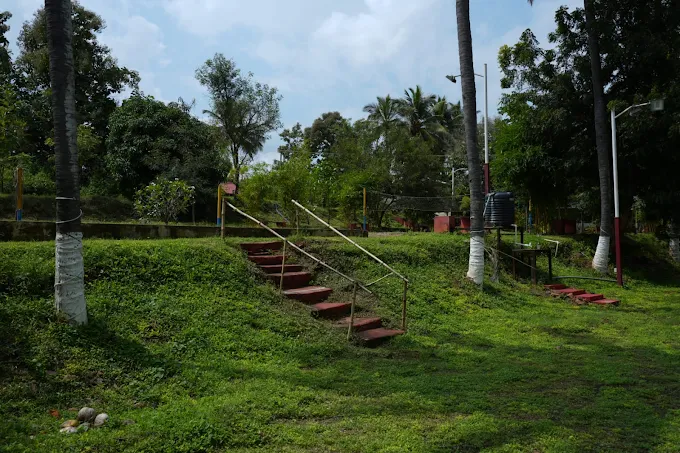 the whistling pine woods