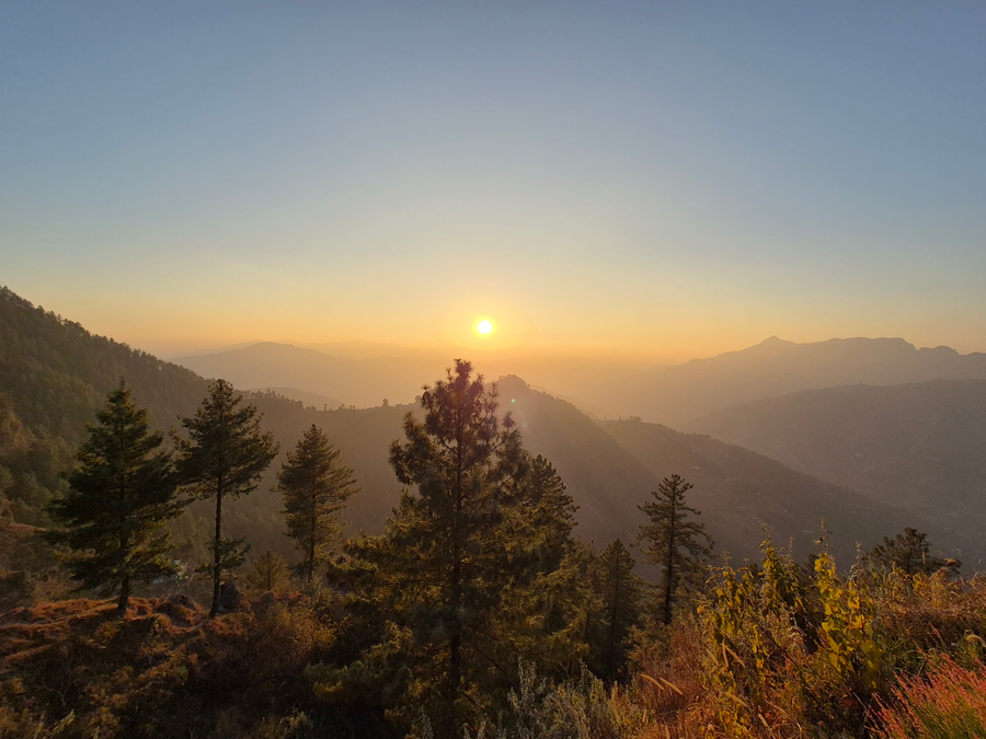 shimla